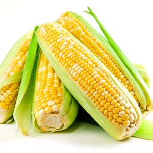 Yellow Corn